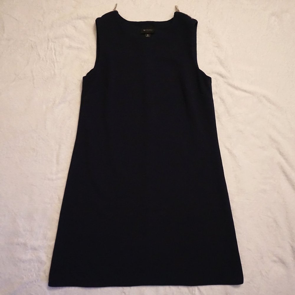 Stylish Navy Shift Dress